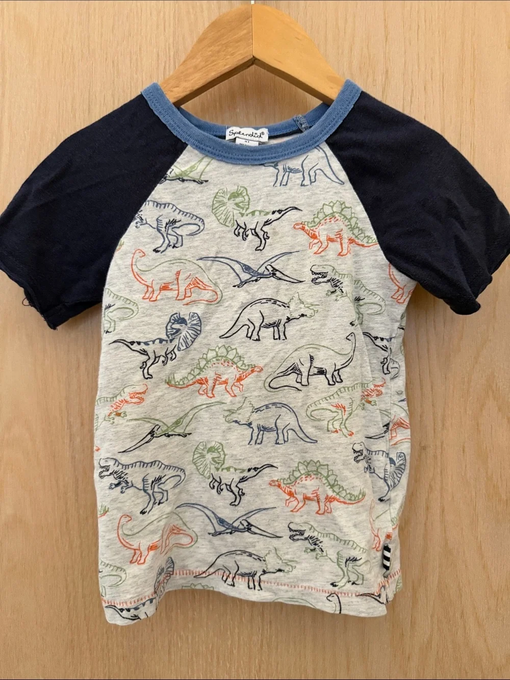 Splendid Dino Raglan Tee - Navy & Heather Gray with Multicolor Prints